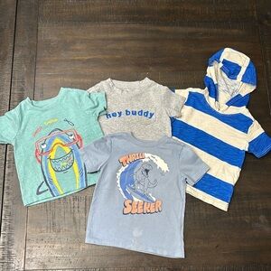 Carters and Garanimals 18m T-Shirt Bundle